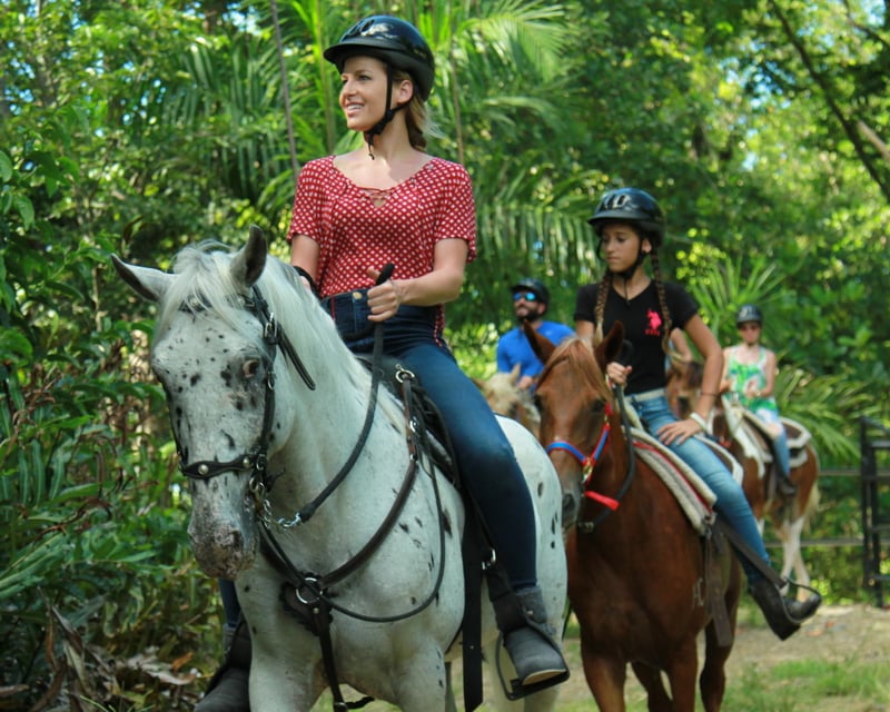 Rainforest Horseback Ride near El Yunque National Forest