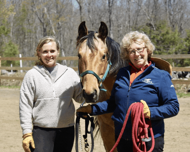 45-Minute Horsemanship Ground Lesson in Princeton