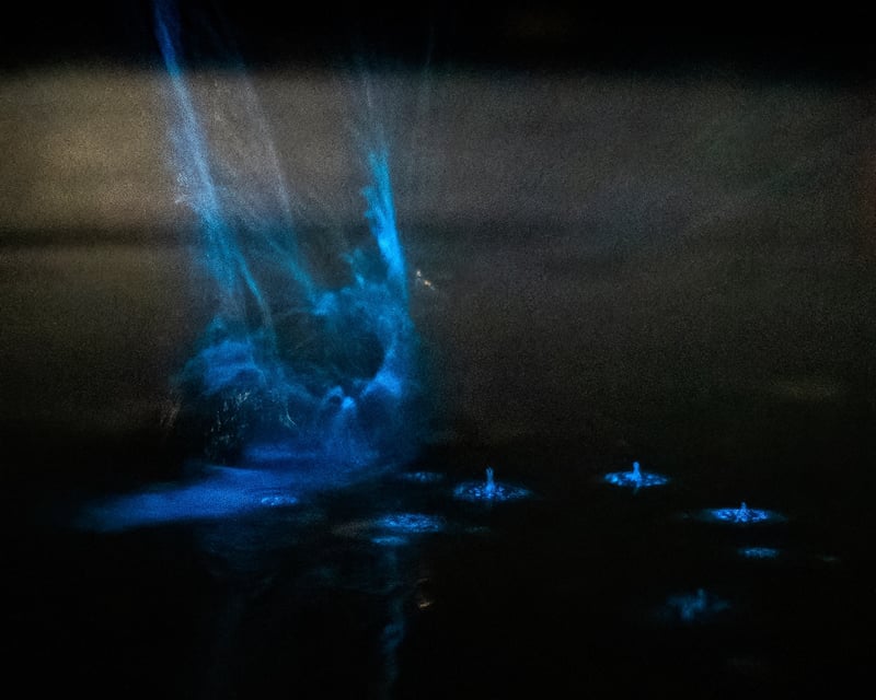 Sunset Bioluminescence Kayak Tour near Port Townsend