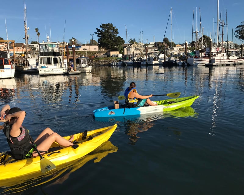 Santa Cruz Harbor 1-Hour Kayak Rental