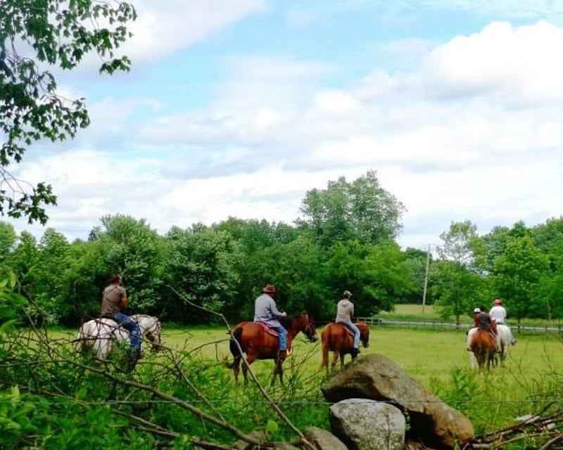 Horseback Trail Ride & Field Picnic in Pine Bush, NY