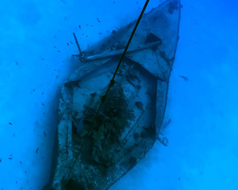 Kona Guided Wreck Dive