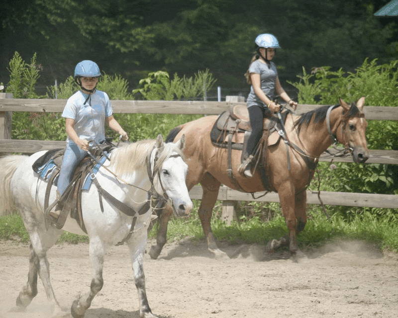 Group Horseback Riding Lesson (Walk-Trot-Canter)