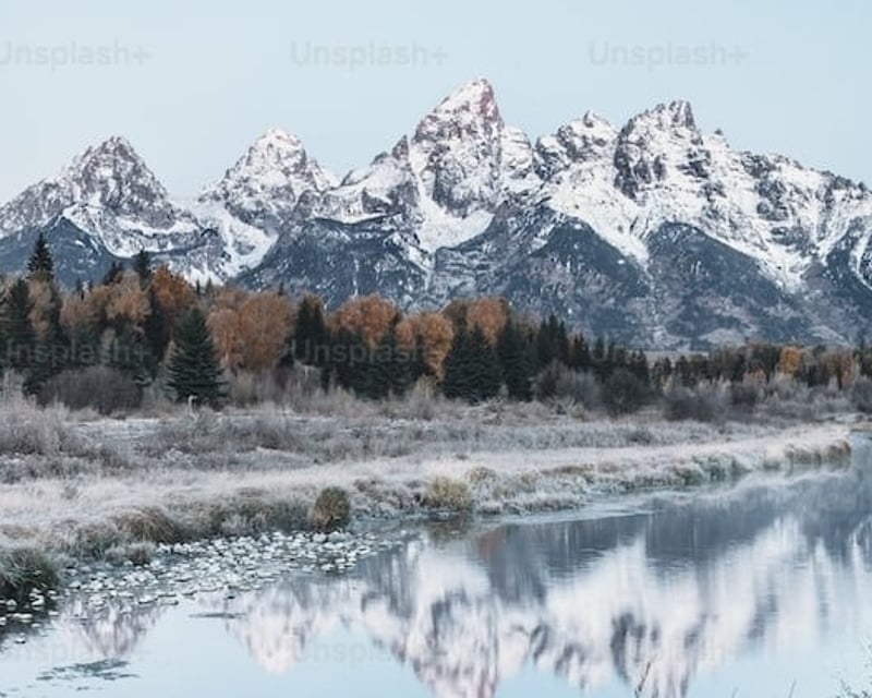 Full-Day Grand Teton Winter Wildlife Tour & Sleigh Ride