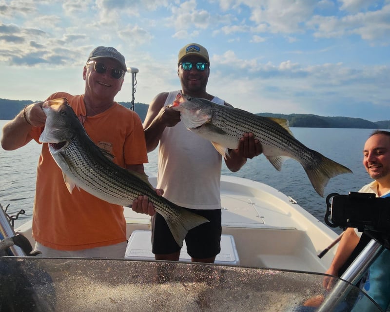 Lake Nottely Striped Bass Fishing Charter