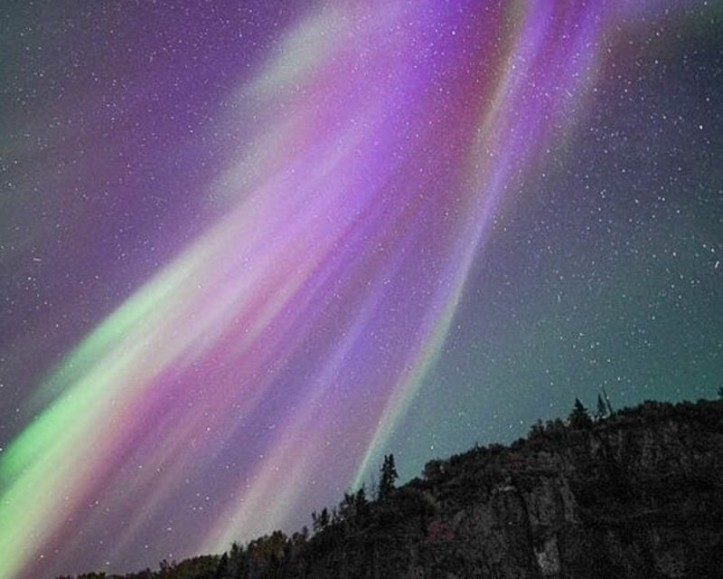 Full-Day Guided Moose Hike & Aurora Chase in Anchorage
