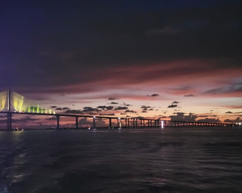 Sunset Cruise From St. Pete Pier