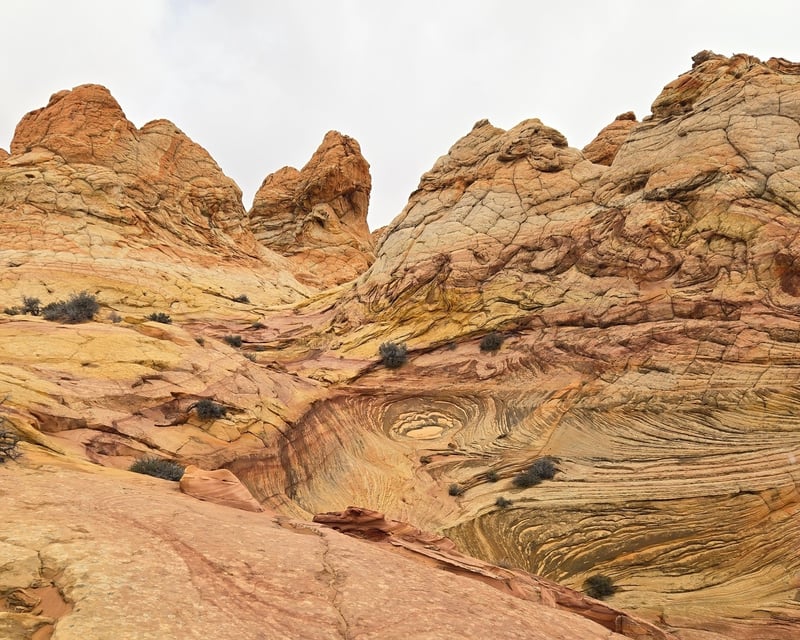Private South Coyote Buttes Full-Day Hiking Tour