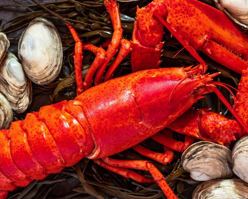 Sunset Clambake Dinner Cruise in Plymouth Harbor