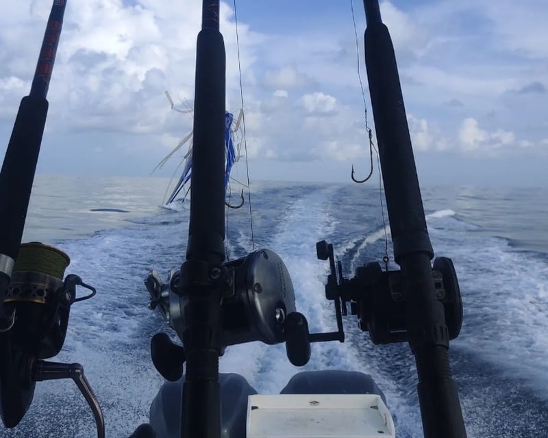 Freeport 6-Hour Offshore Fishing Charter