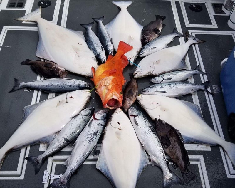 Homer Halibut & Multi-Species Fishing Charter