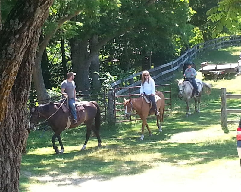 Guided Fern Forest Horseback Trail Ride Near Cashiers