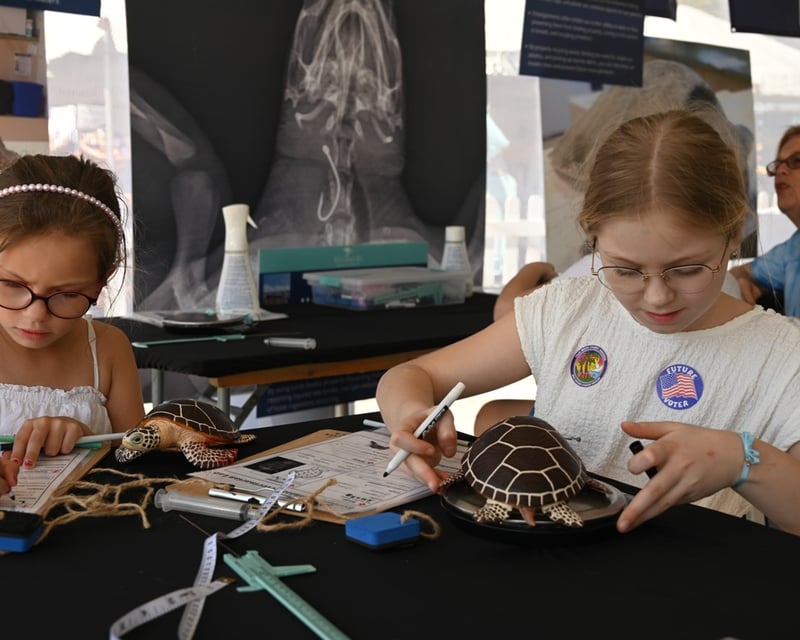 Sea Turtle Rehabilitation Lab in Juno Beach