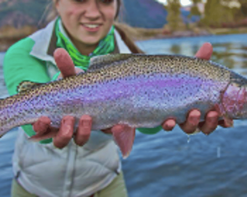 Fly Fishing Lesson on Gallatin River