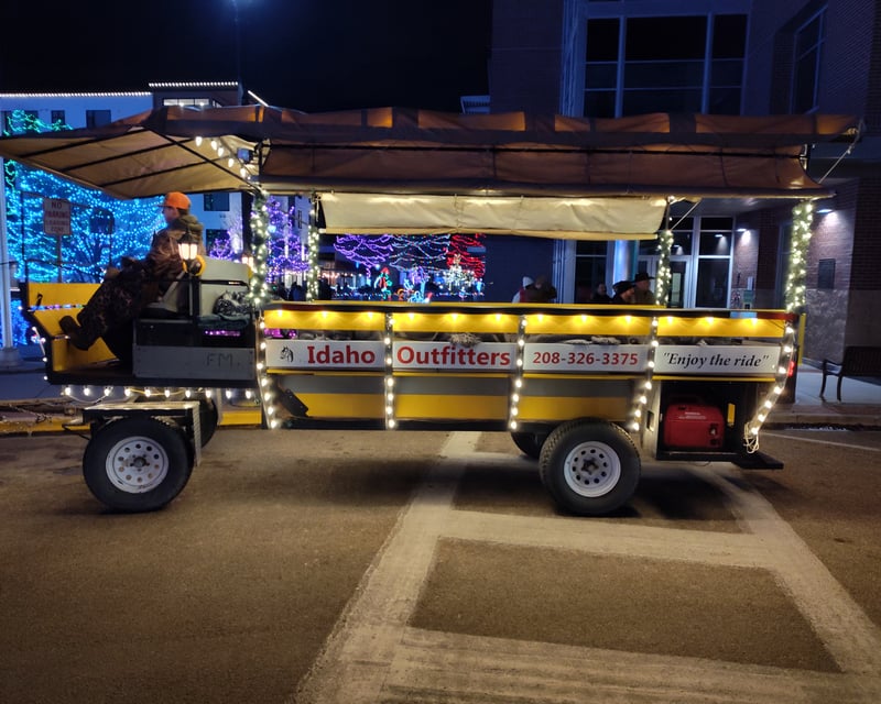 Horse-Drawn Christmas Light Carriage Ride in Caldwell