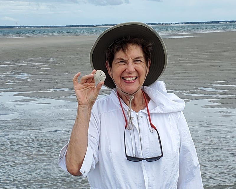 Private Shackleford Banks Wild Horse & Sand Dollar Boat Tour