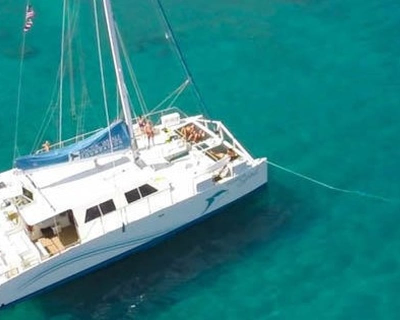 Honolua Bay Dolphin Snorkel Sail