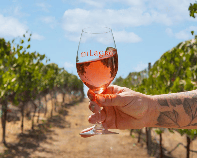 Private San Diego Winery Tour