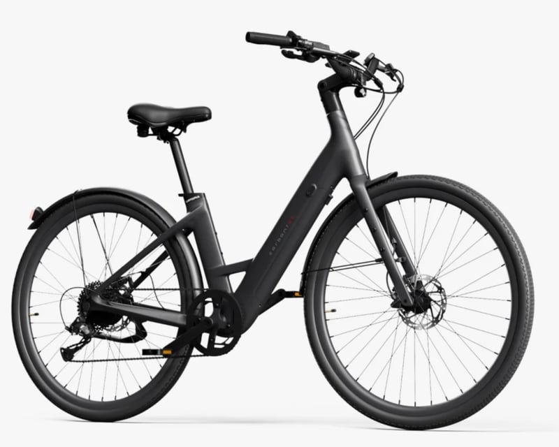 E-Bike Test Ride in Herndon Before You Buy