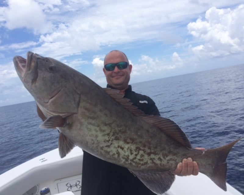 Private Full-Day Offshore Fishing Charter in Madeira Beach