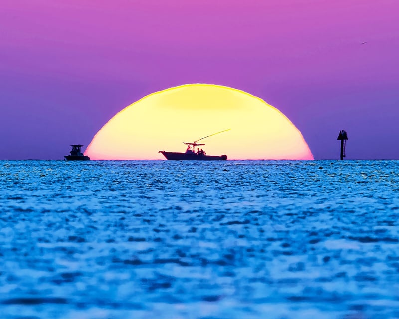 Guided Ecotour of Islamorada