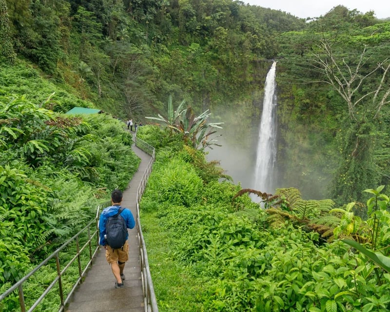 Hilo Cultural Tour with Rainbow & Akaka Falls