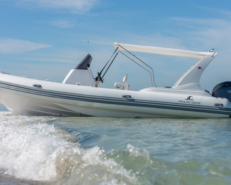Private Dolphin, Sunset & Tiki Bar Cruise Anna Maria Island