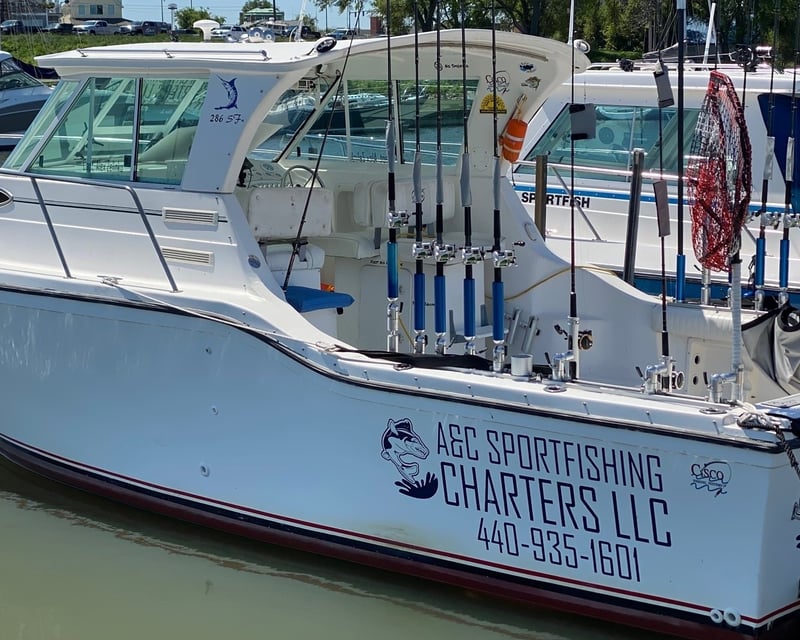 Lake Erie Walleye & Steelhead Fishing Charter in Lorain