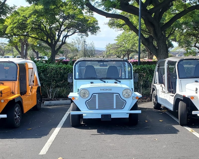Waikoloa Resort Electric Moke Rental