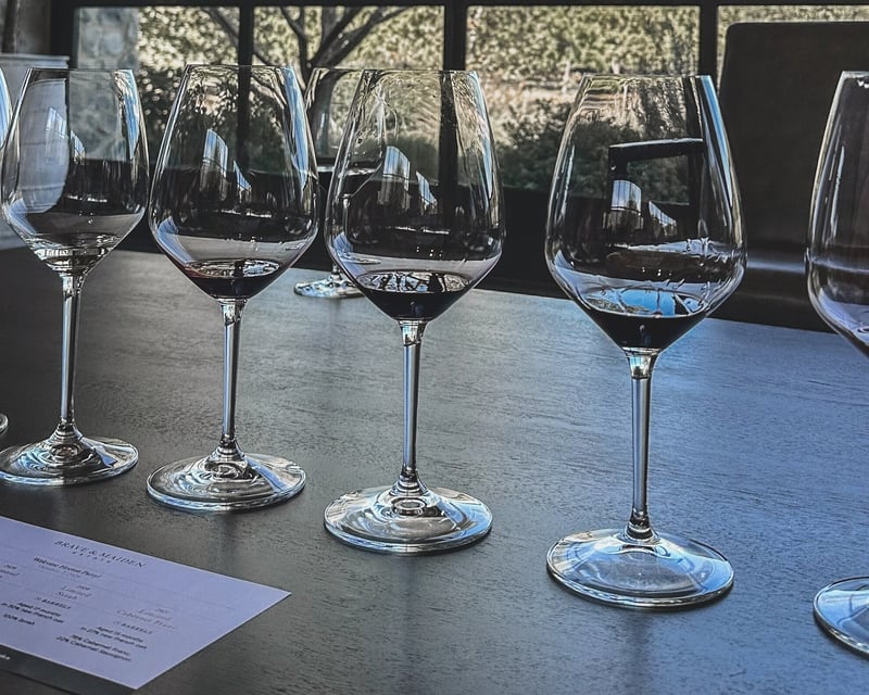 Private Wine Tasting Tour in Santa Barbara Wine Country