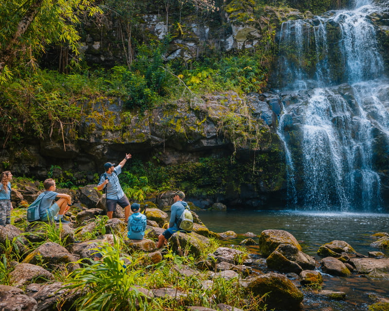 Guided Waterfall Hike in Kohala