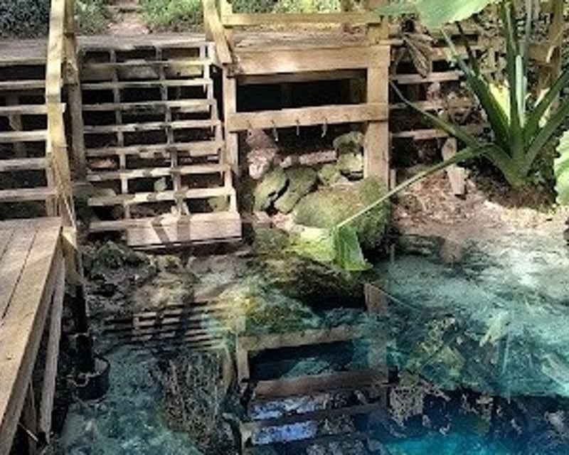 Fossil Cavern Scuba Dive at Paradise Springs in Ocala