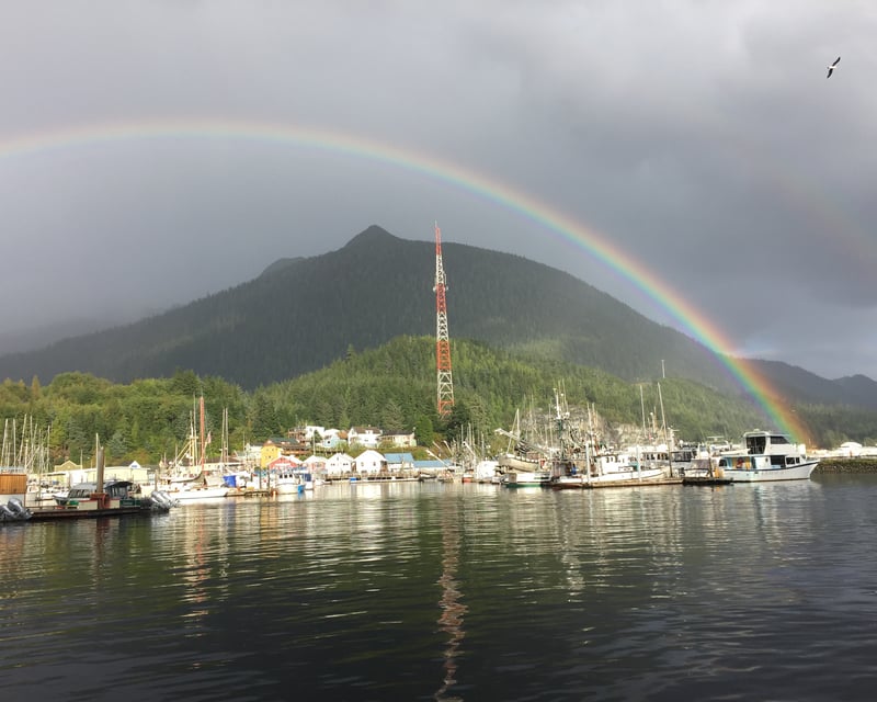 Ketchikan Coastal Wildlife Cruise
