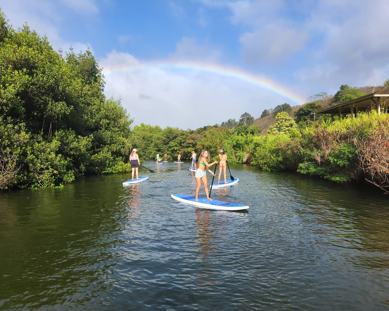 Sea Turtle Paddleboard or Kayak Tour in Haleiwa