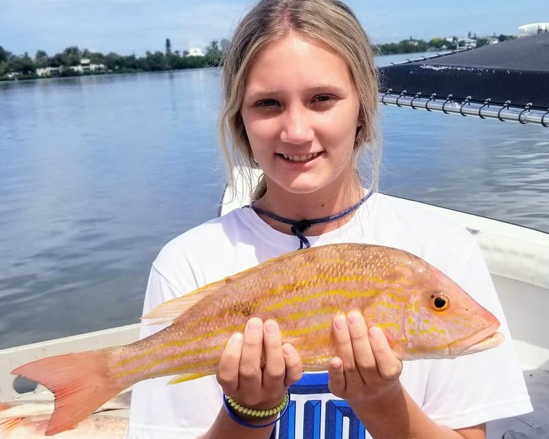 4-Hour Offshore Fishing Charter in Palmetto