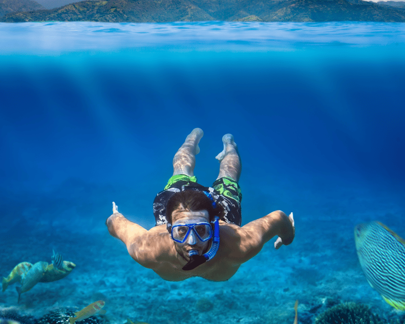 Honolulu Turtle Canyons Snorkel Tour