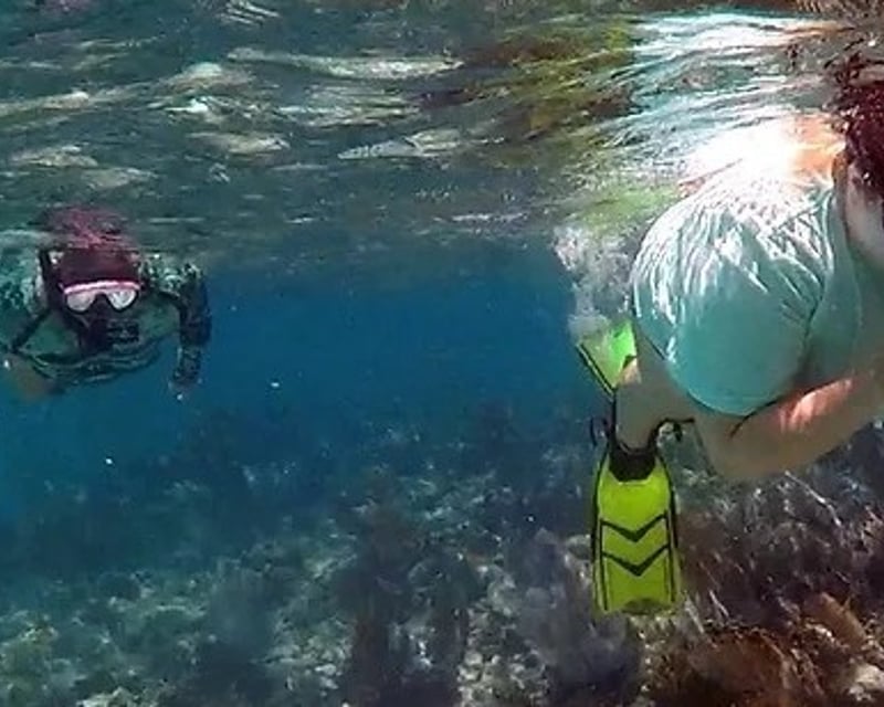 Key West Fishing & Snorkeling Charter