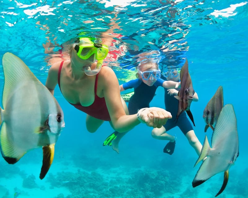 Kohala Coast 2-Stop Snorkel Cruise