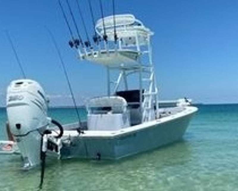 Private Shell Key & Dolphin Boat Tour from St. Pete Beach