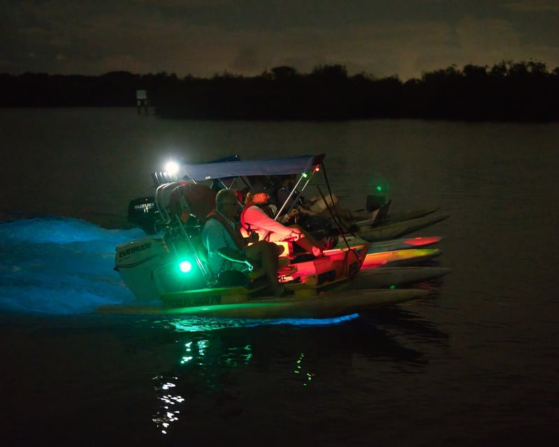 Bioluminescent CraigCat Tour in Merritt Island