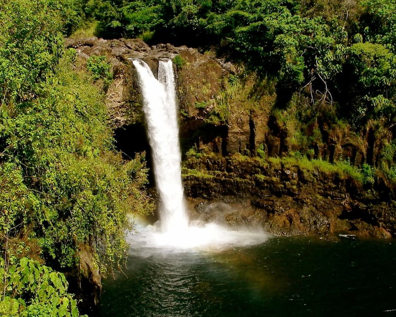 Hilo Hamakua Coast Waterfalls Guided Tour