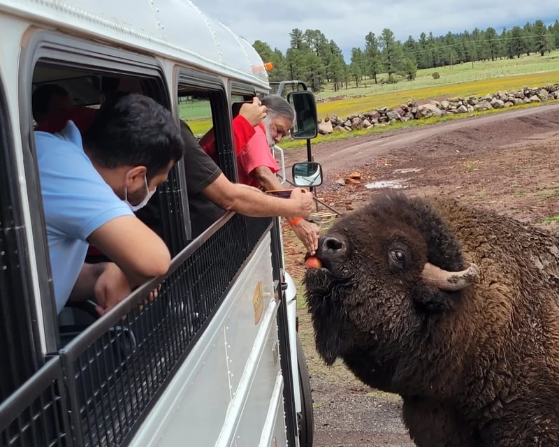 VIP Behind-the-Scenes Bus Tour at Bearizona