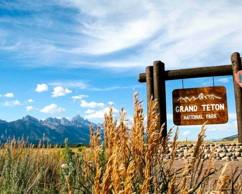 Grand Teton 8-Hour Wildlife Safari