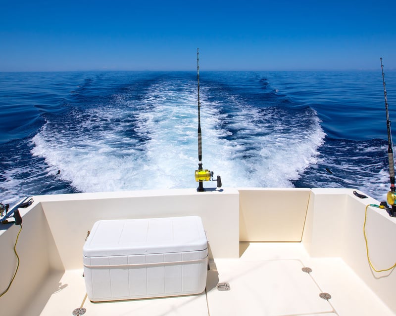 Morning Chesapeake Bay Fishing Charter