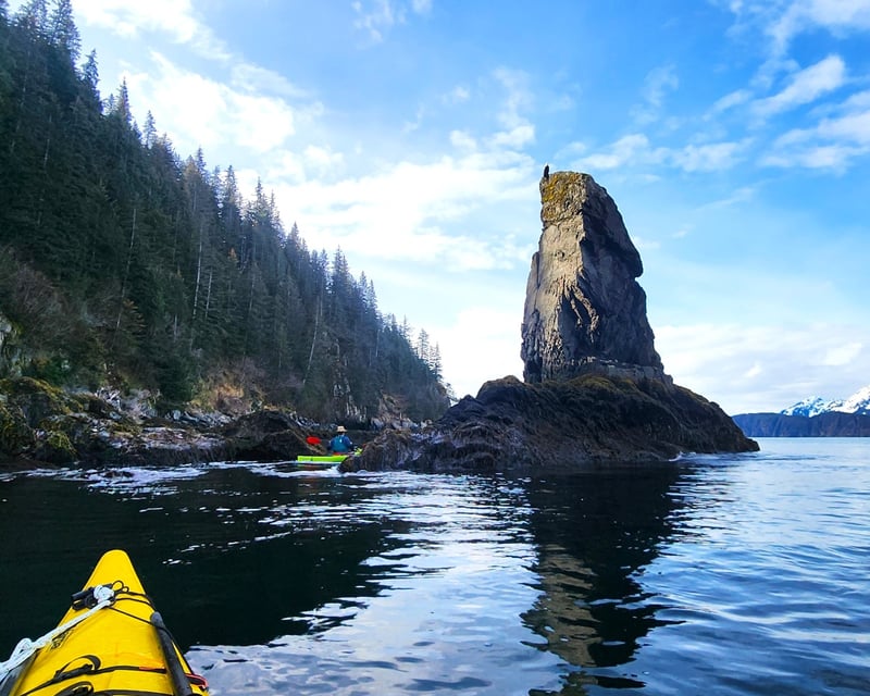 Guided Kayak Tour to Tonsina Point, Seward