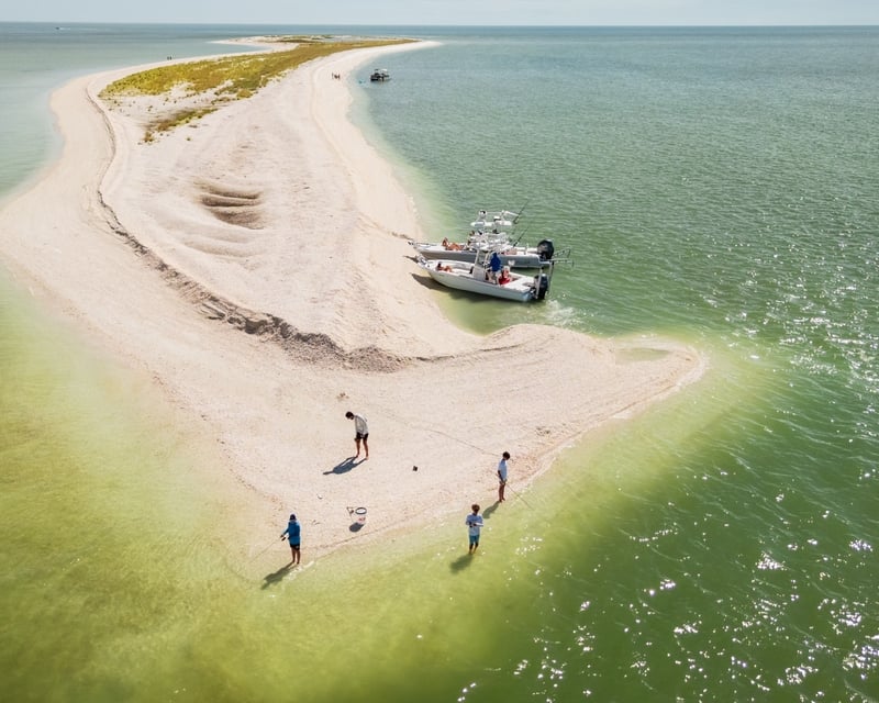 Private Shelling, Fishing & Eco Tour in Marco Island