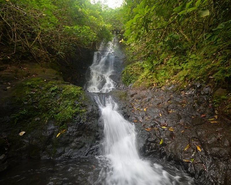 Downhill Bike & Koʻolau Waterfall Hike Oahu