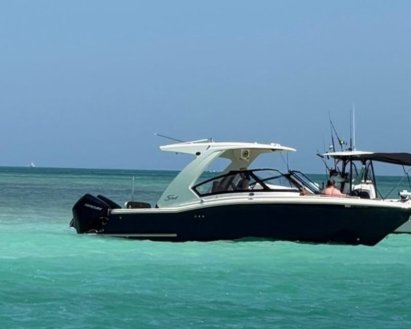 Private Full-Day Sandbar Boat Charter in Islamorada