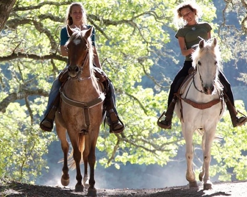 Horseback Trail Ride & Wine Tasting in Temecula Wine Country