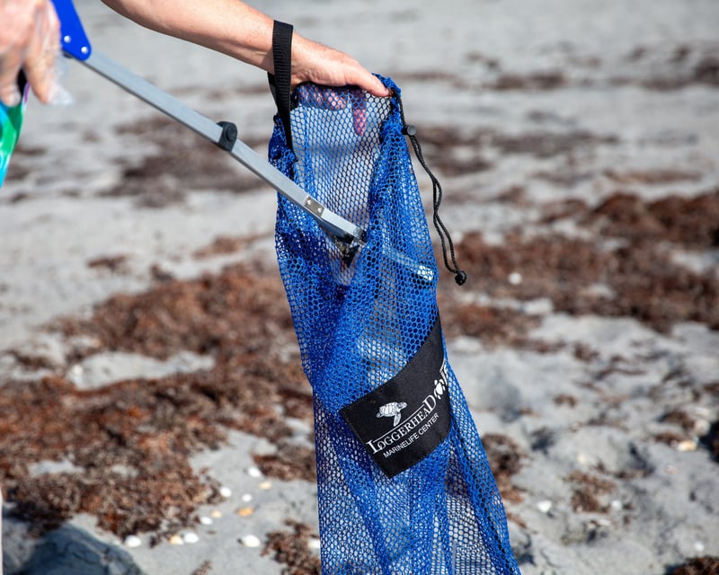 Self-Guided Beach Cleanup in Juno Beach